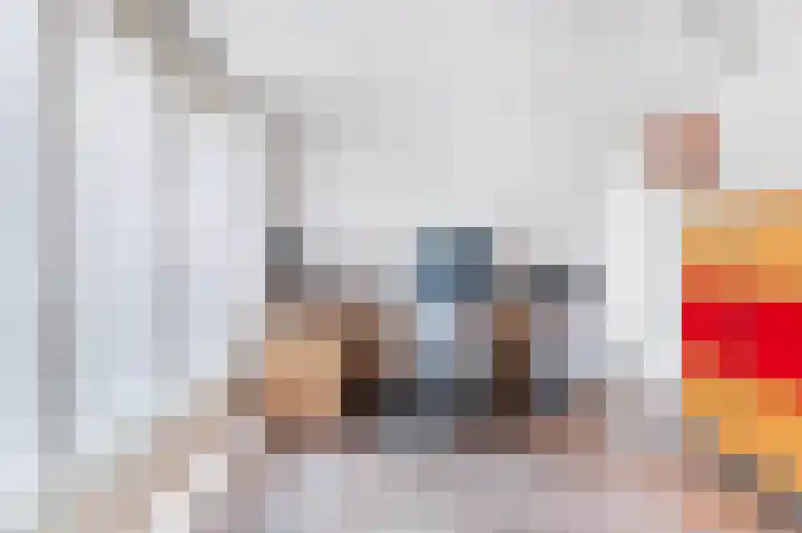 Rozenkamp 6 Eibergen thumbnail 18