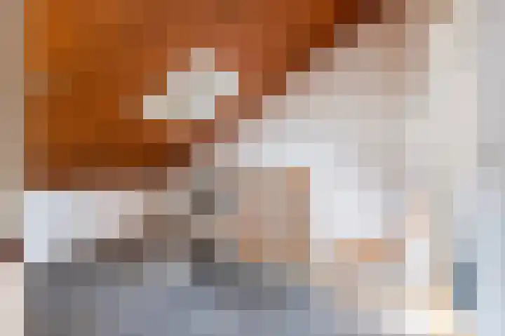Rozenkamp 6 Eibergen thumbnail 25