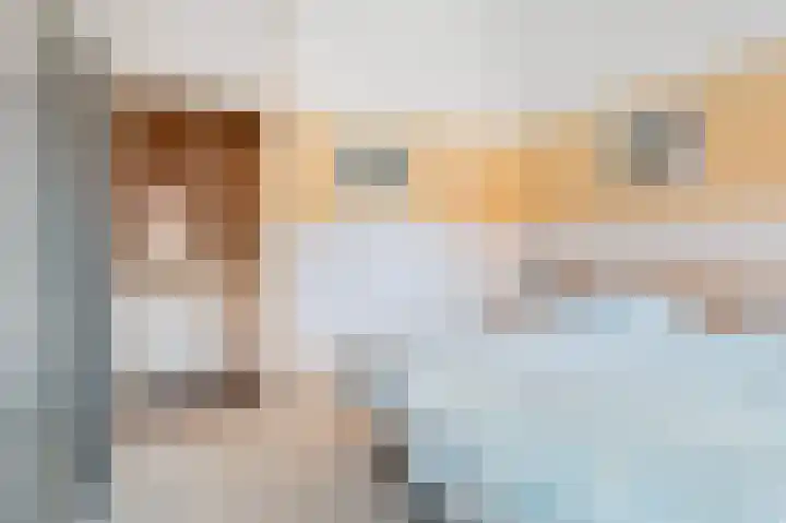 Rozenkamp 6 Eibergen thumbnail 27