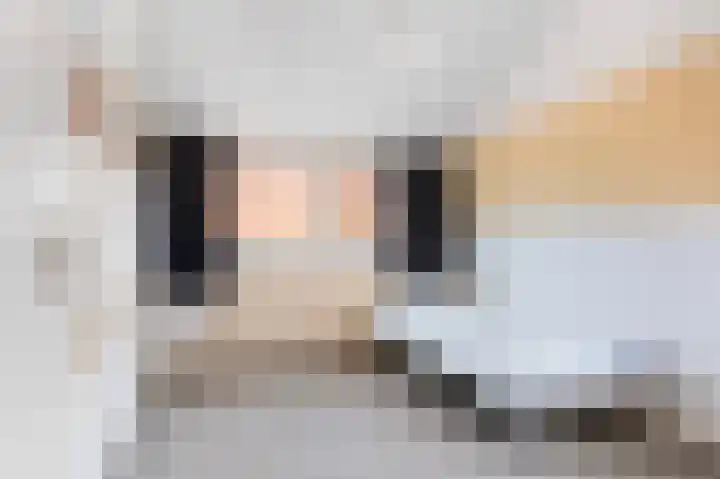 Rozenkamp 6 Eibergen thumbnail 28