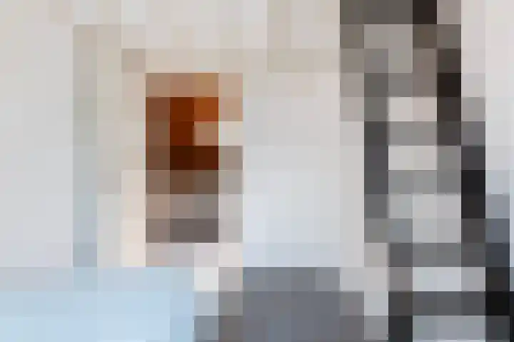 Rozenkamp 6 Eibergen thumbnail 31