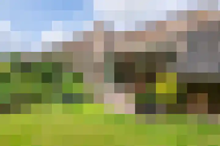 Rozenkamp 6 Eibergen thumbnail 37