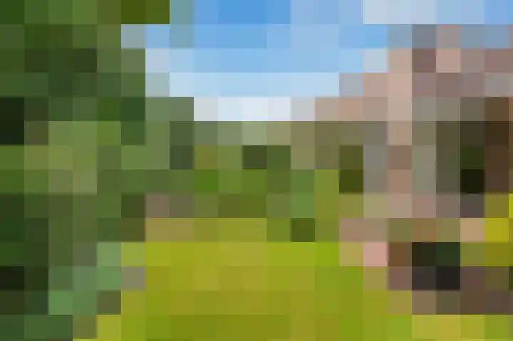 Rozenkamp 6 Eibergen thumbnail 38