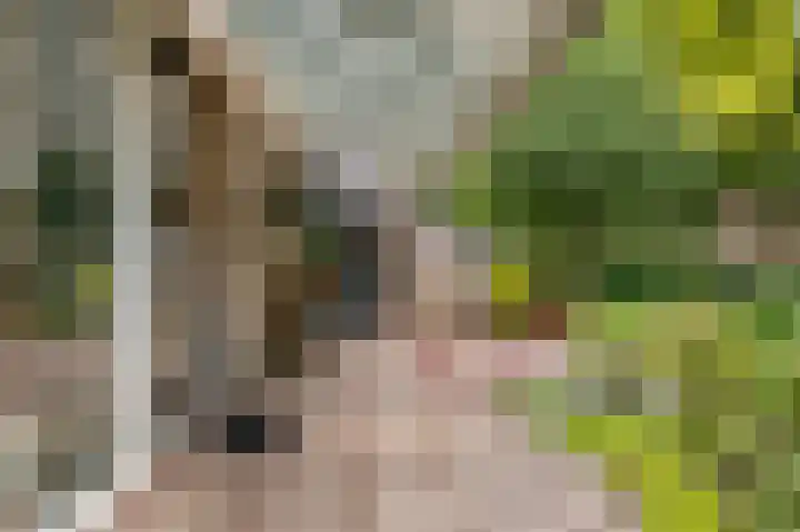 Rozenkamp 6 Eibergen thumbnail 39