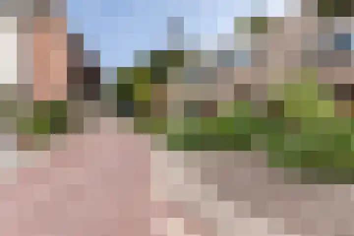 Rozenkamp 6 Eibergen thumbnail 42