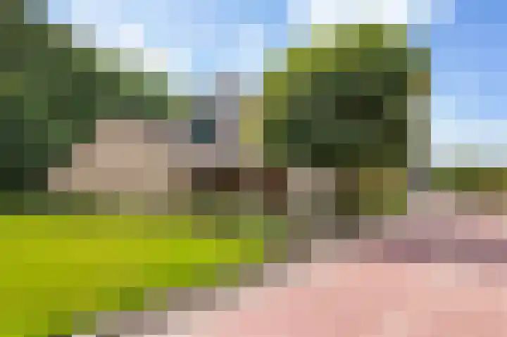Rozenkamp 6 Eibergen thumbnail 43