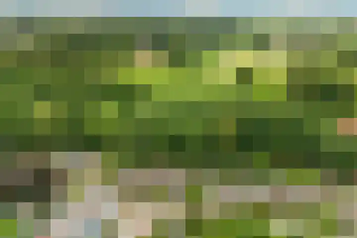 Rozenkamp 6 Eibergen thumbnail 46