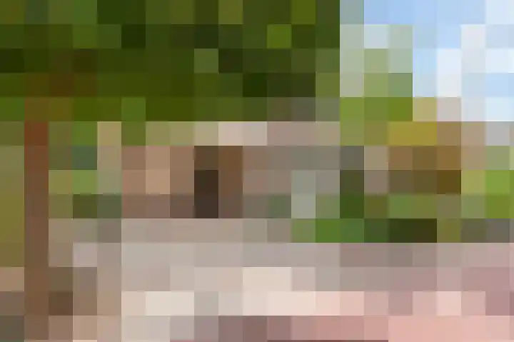 Rozenkamp 6 Eibergen thumbnail 6