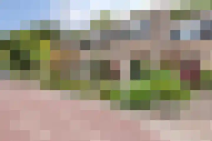 Rozenkamp 6 Eibergen thumbnail 7