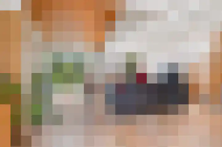 Rozenkamp 6 Eibergen thumbnail 9