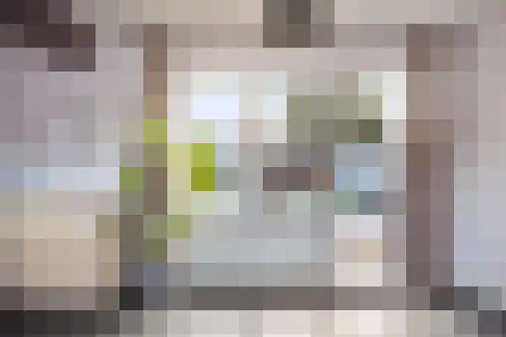 Rozenkampsweg 33 Stokkum thumbnail 11