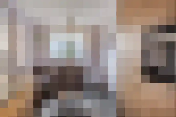 Rozenkampsweg 33 Stokkum thumbnail 15