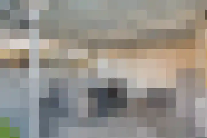 Rozenkampsweg 33 Stokkum thumbnail 41