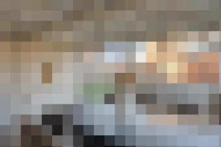Rozenkampsweg 33 Stokkum thumbnail 42