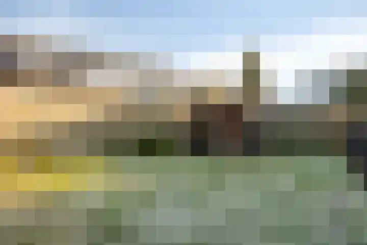 Rozenkampsweg 33 Stokkum thumbnail 43