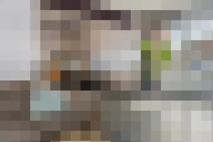 Rozenkampsweg 33 Stokkum thumbnail 8