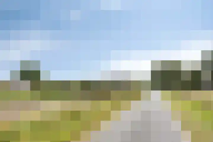 Rozenkampweg 19 Oene thumbnail 65