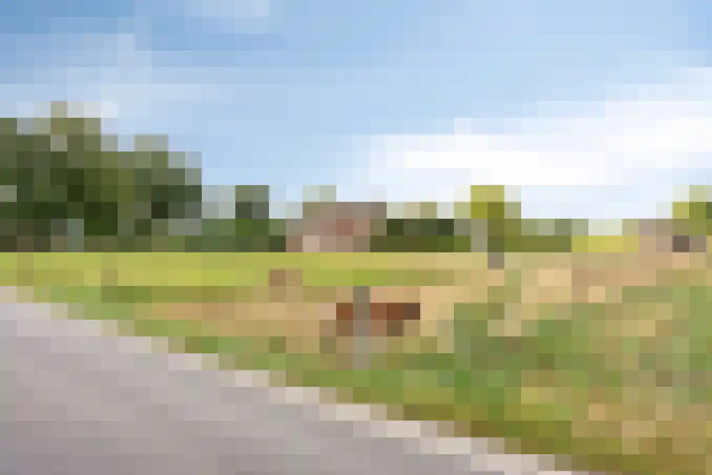 Rozenkampweg 19 Oene thumbnail 66