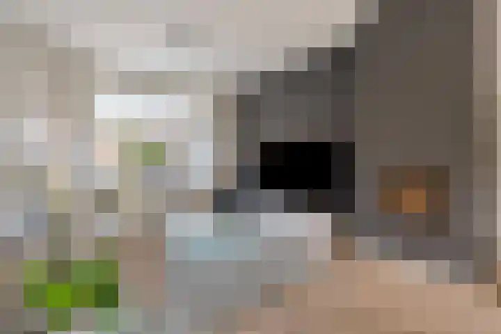 Rozenkransstraat 12 Venlo thumbnail 5