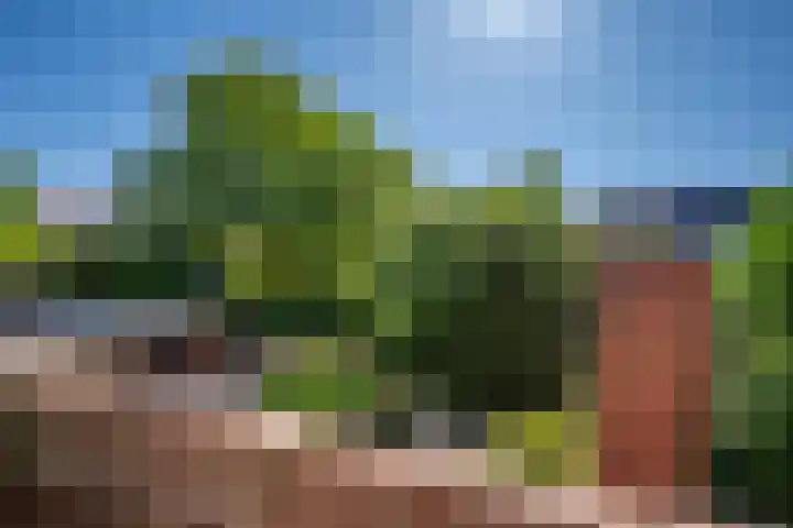 Rozenkransstraat 26 Venlo thumbnail 31