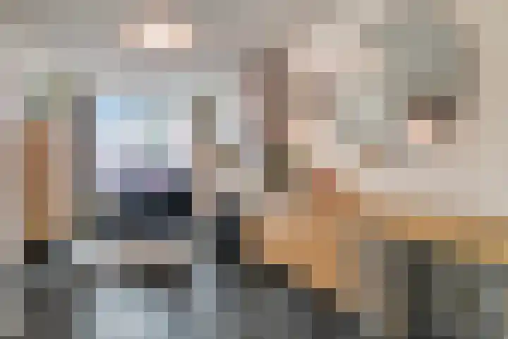Rozenkransstraat 48 St. Willebrord thumbnail 8