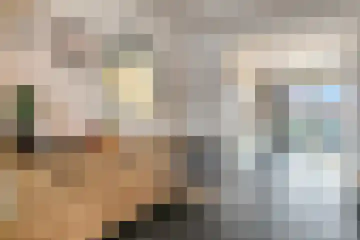 Rozenkransstraat 48 St. Willebrord thumbnail 9