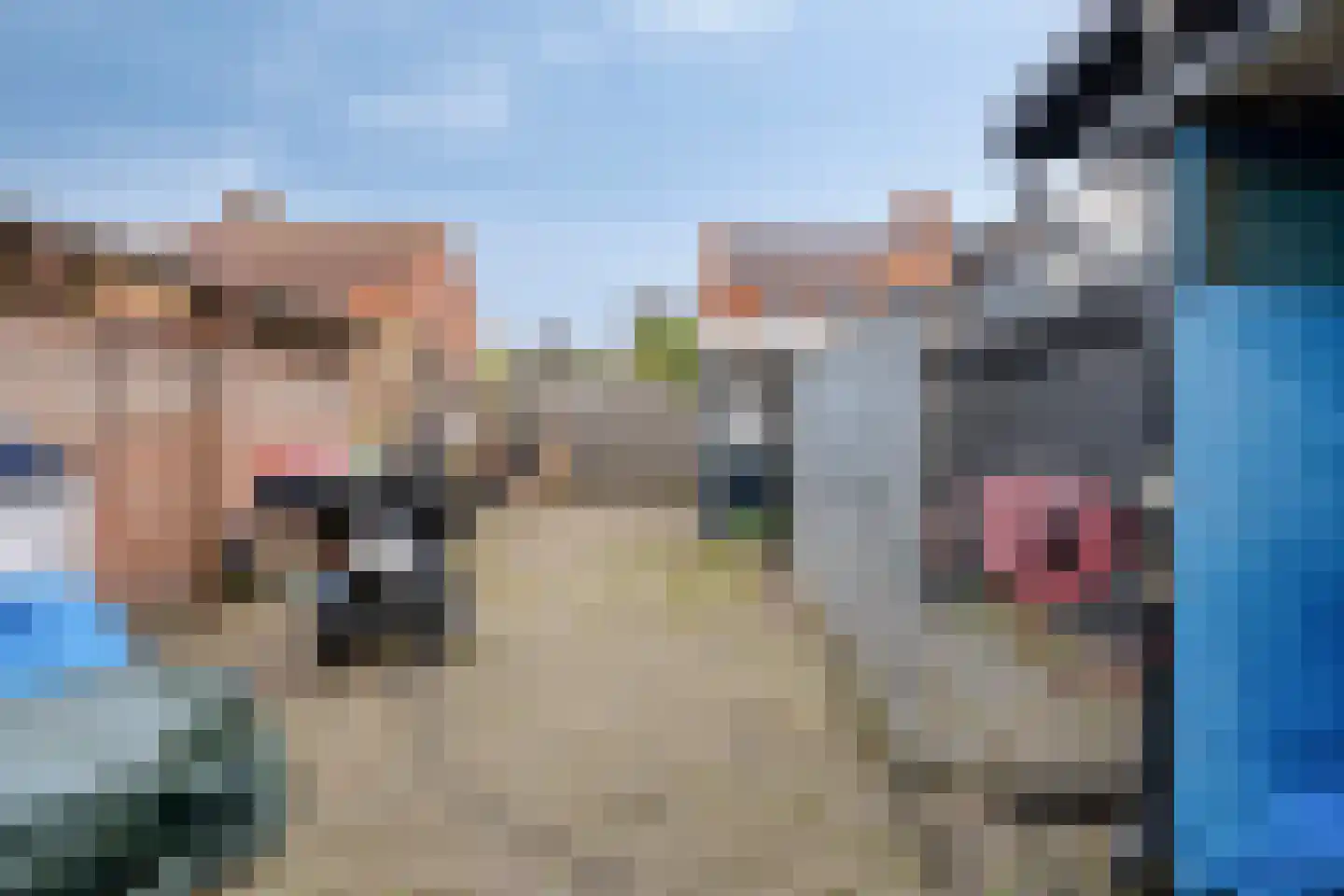 Rozenkransstraat 69 St. Willebrord thumbnail 27