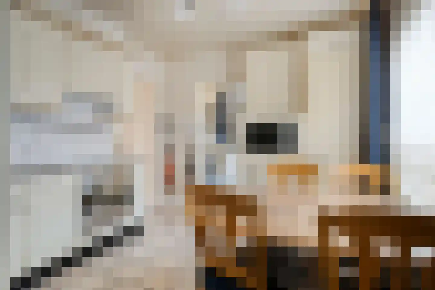 Rozenkransstraat 69 St. Willebrord thumbnail 6