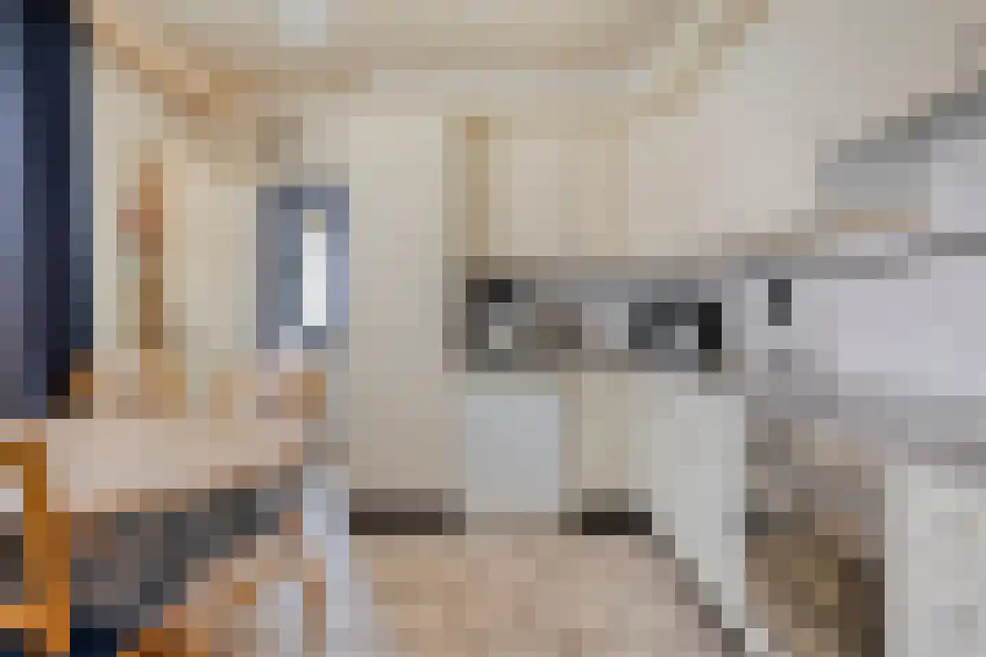 Rozenkransstraat 69 St. Willebrord thumbnail 7
