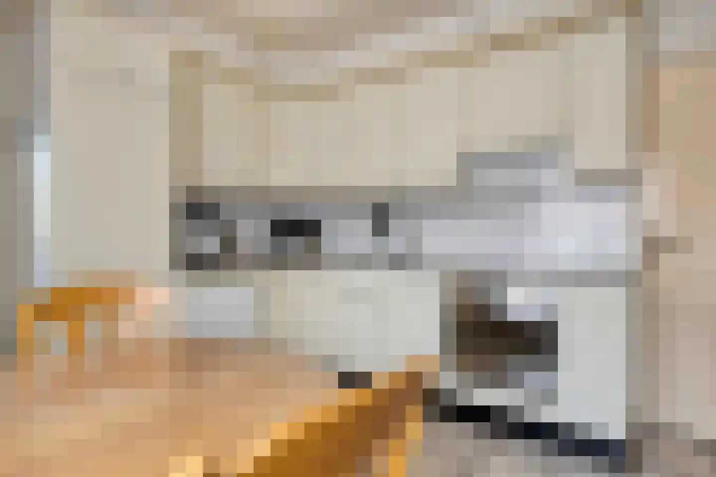 Rozenkransstraat 69 St. Willebrord thumbnail 8