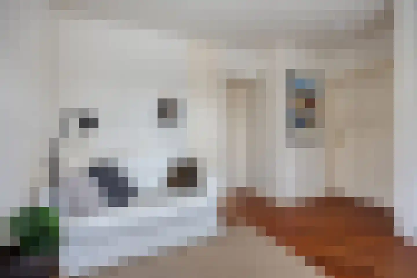 Rozenlaan 1 Boskoop thumbnail 12