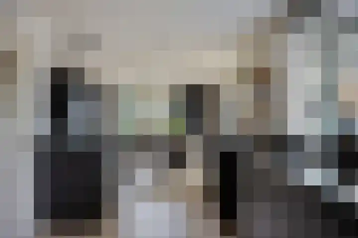 Rozenlaan 1 Boskoop thumbnail 14