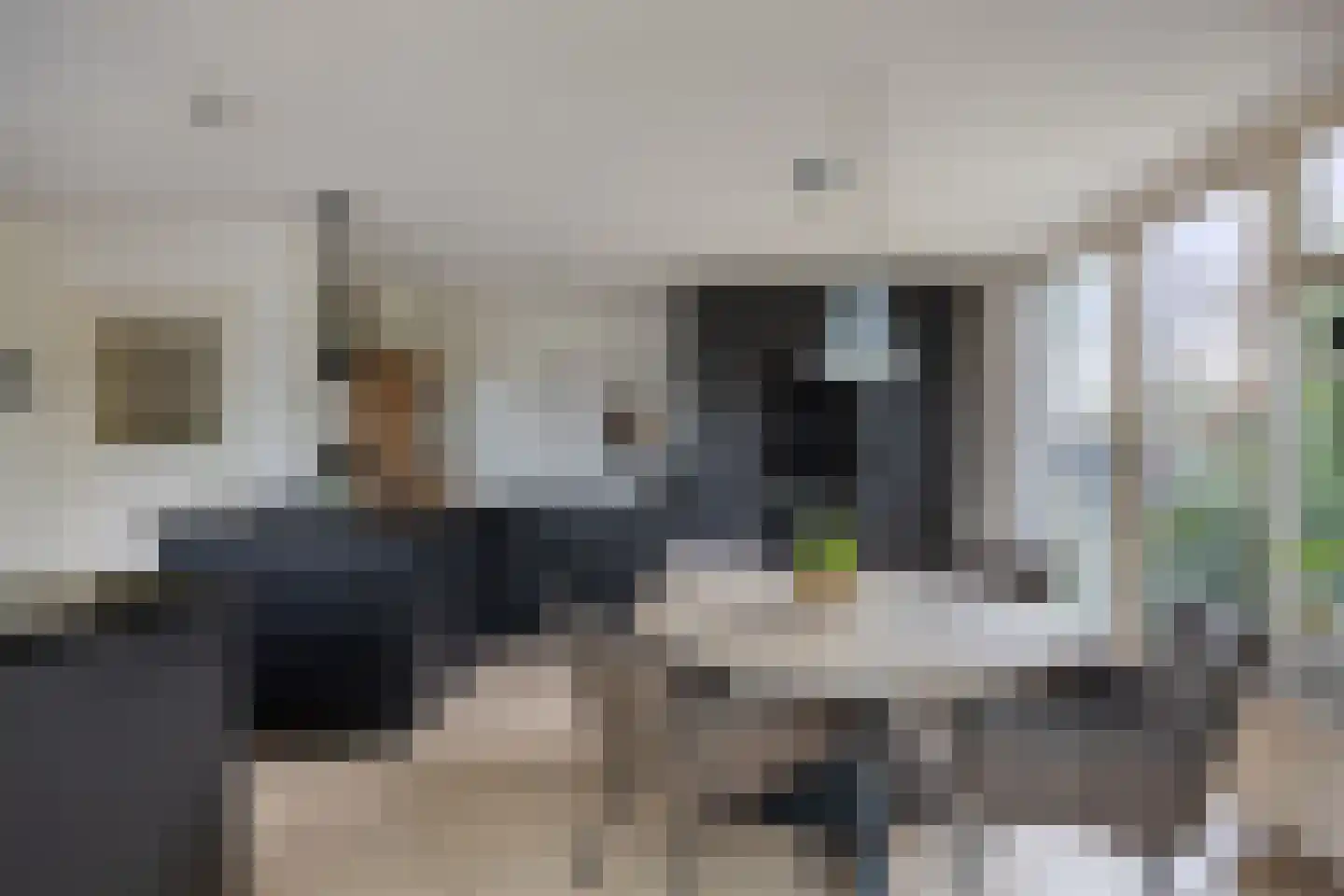 Rozenlaan 1 Boskoop thumbnail 15
