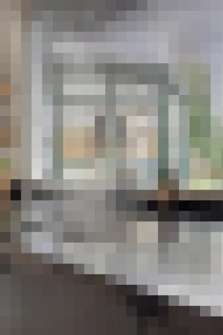 Rozenlaan 1 Boskoop thumbnail 17