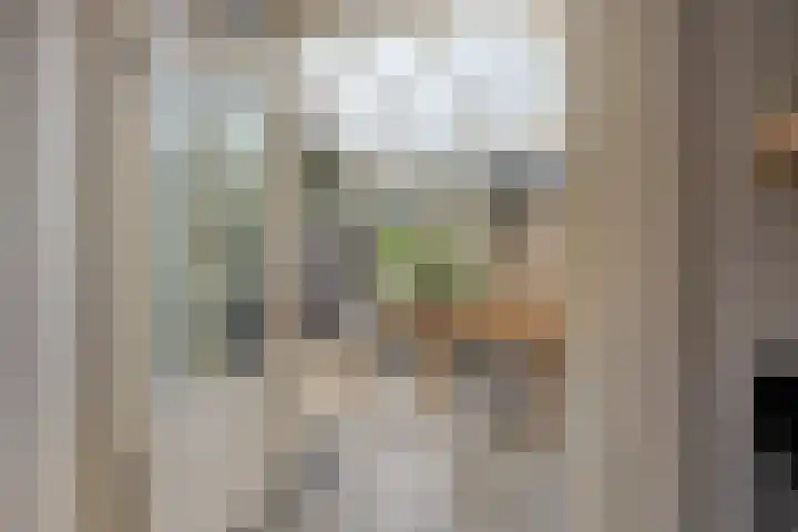 Rozenlaan 1 Boskoop thumbnail 18
