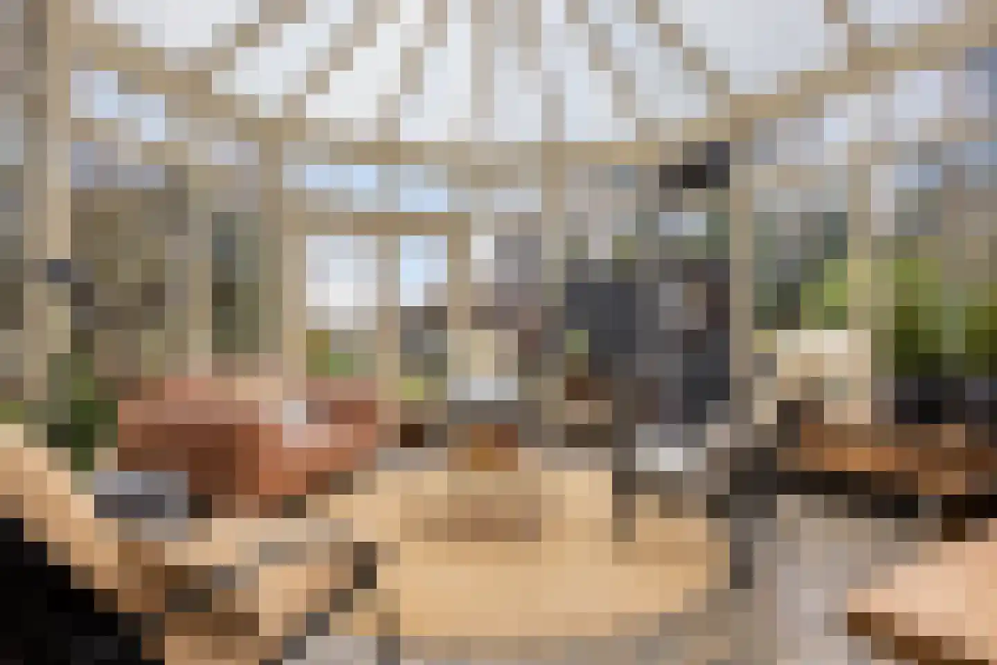 Rozenlaan 1 Boskoop thumbnail 19