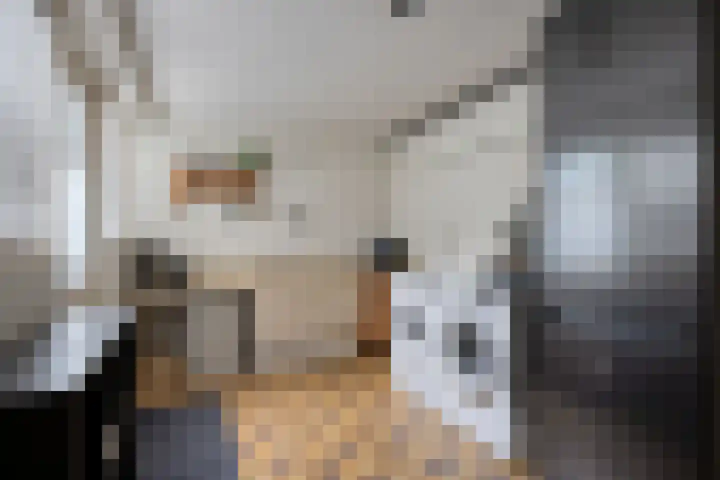 Rozenlaan 1 Boskoop thumbnail 22