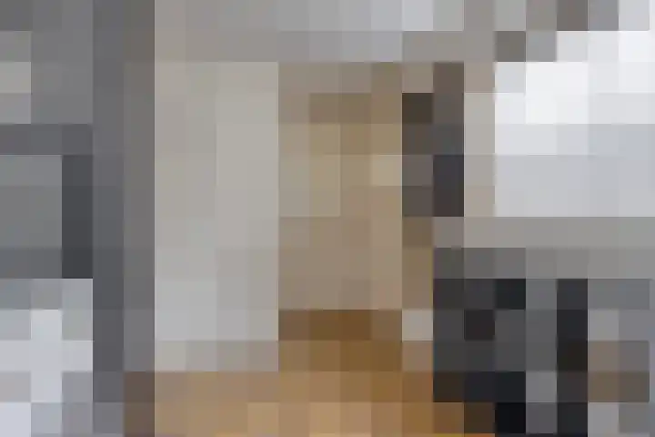 Rozenlaan 1 Boskoop thumbnail 23