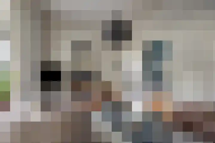 Rozenlaan 1 Boskoop thumbnail 28