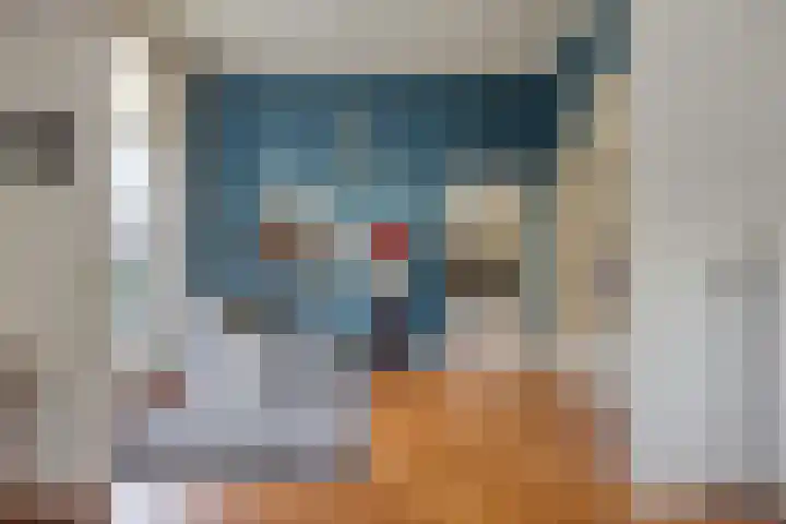 Rozenlaan 1 Boskoop thumbnail 30