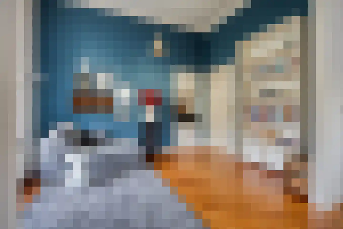 Rozenlaan 1 Boskoop thumbnail 31