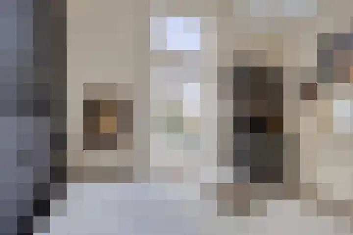 Rozenlaan 1 Boskoop thumbnail 33