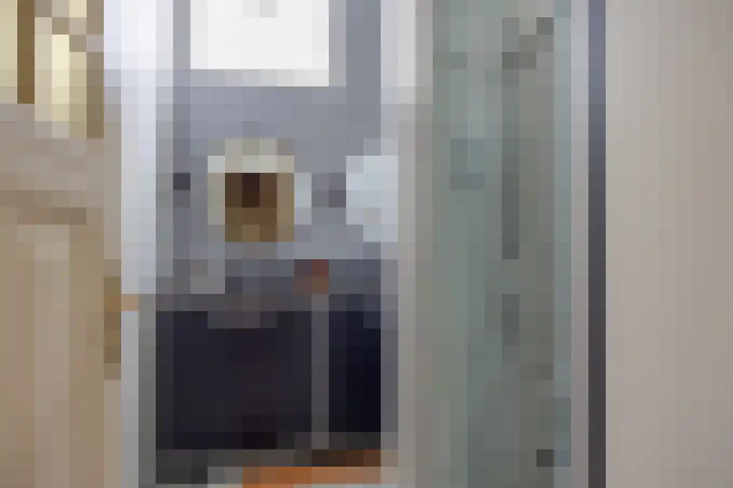 Rozenlaan 1 Boskoop thumbnail 34