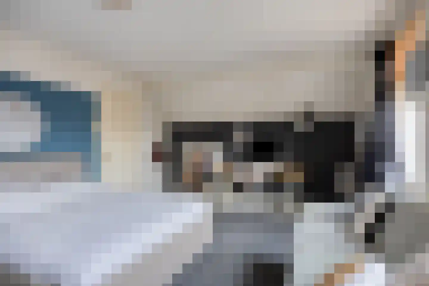 Rozenlaan 1 Boskoop thumbnail 40