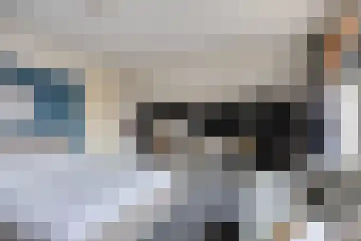 Rozenlaan 1 Boskoop thumbnail 40
