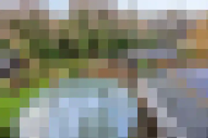Rozenlaan 1 Boskoop thumbnail 48