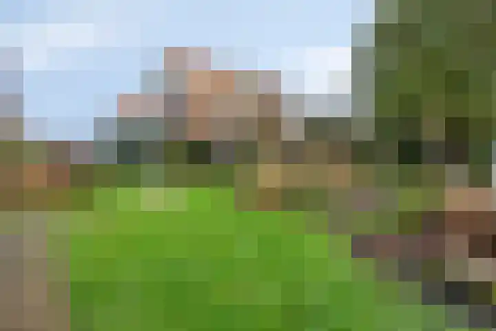 Rozenlaan 1 Boskoop thumbnail 53
