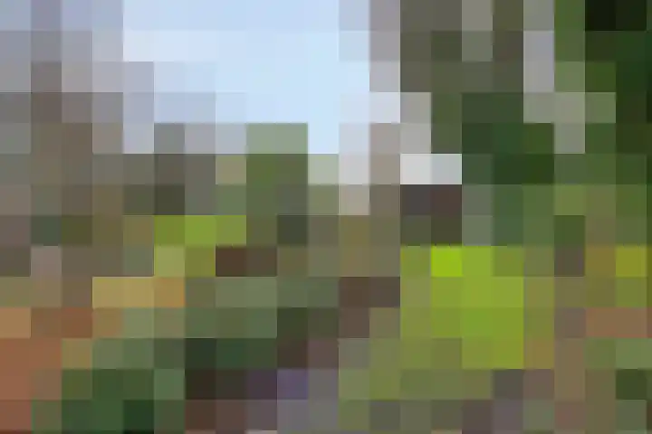 Rozenlaan 1 Boskoop thumbnail 54