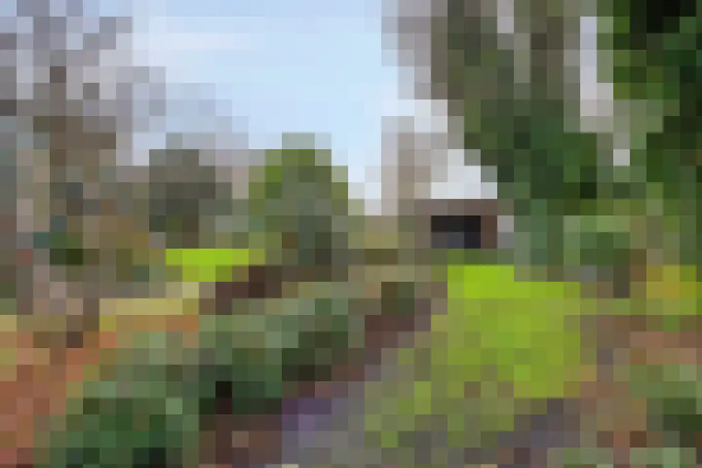 Rozenlaan 1 Boskoop thumbnail 54