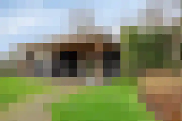 Rozenlaan 1 Boskoop thumbnail 55